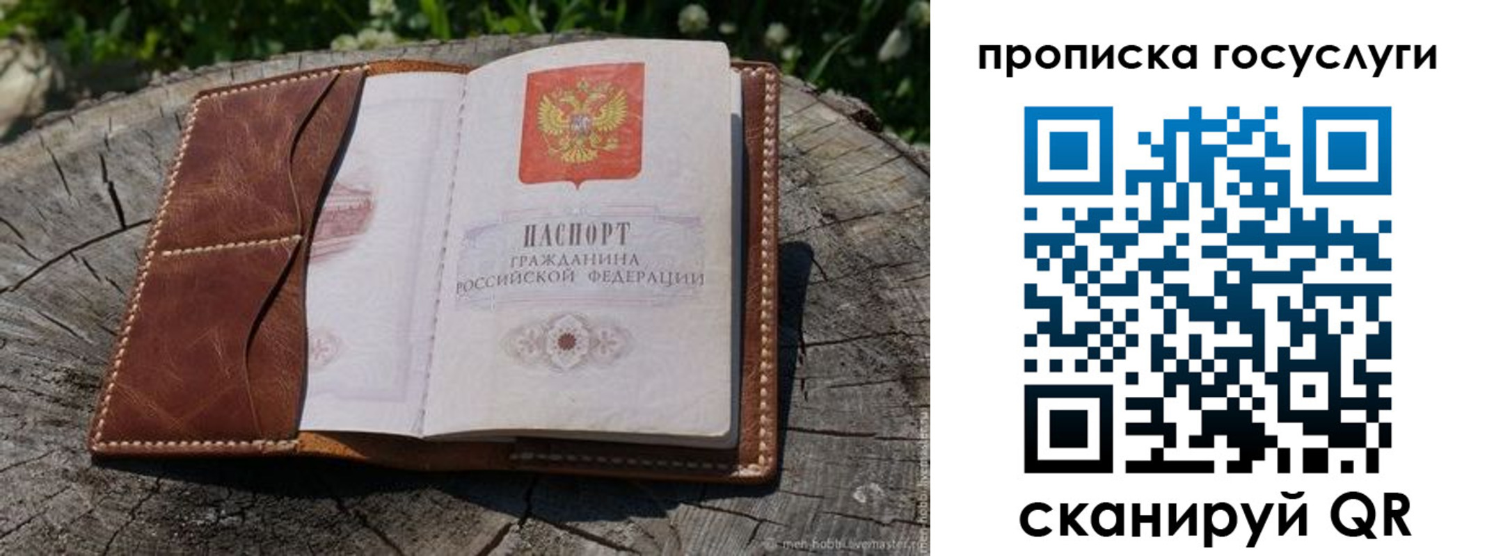 прописка для школы в Вязьме